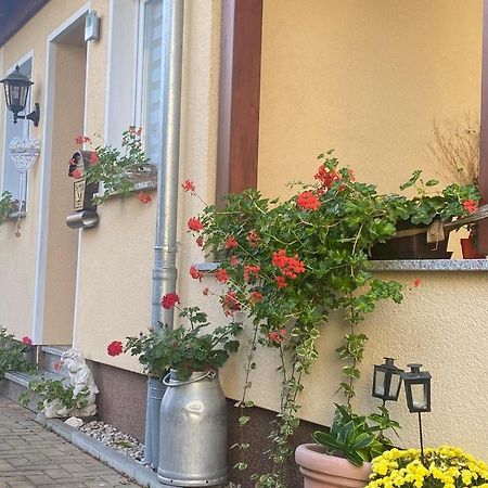 Ferienwohnung „Thea“ Bad Lausick Luaran gambar