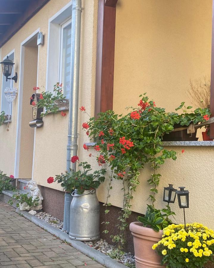 Ferienwohnung „Thea“ Bad Lausick Luaran gambar
